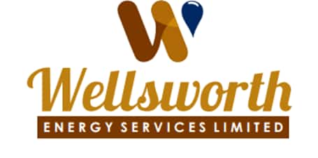 Wellsworth company logo